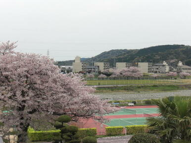 国領川河川敷緑地帯の自然♪