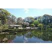 公園