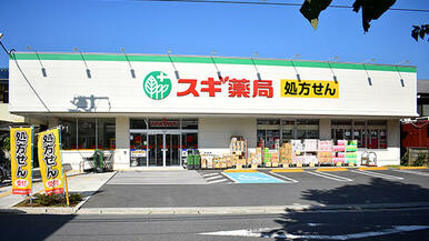 スギ薬局板橋幸町店