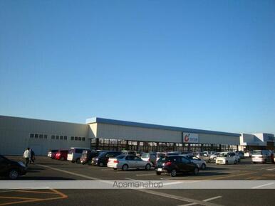 カワチ薬品佐野店