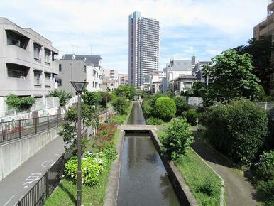 古石場川親水公園