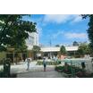 幼稚園、保育園