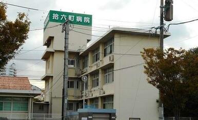 拾六町病院.