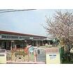 幼稚園、保育園