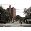 大学