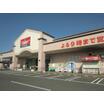 販売店