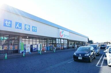 カワチ薬品 石岡北店