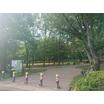 公園