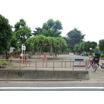公園