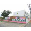 幼稚園、保育園