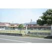 幼稚園、保育園