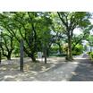 公園