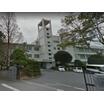 大学