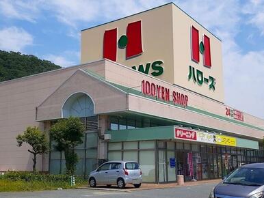 ハローズ沼南店