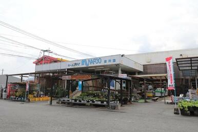 ドラッグストアモリ吉井店