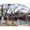 幼稚園、保育園