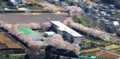 函南町立桑村小学校