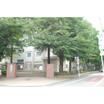 中学校