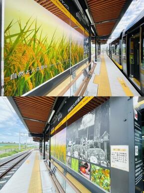 LRT平石駅　3922ｍ/徒歩50分、車10分