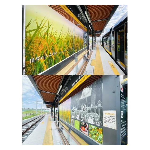 LRT平石駅　5144ｍ/徒歩65分、車13分