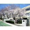 小学校