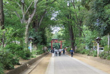 氷川参道