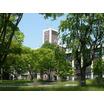 大学