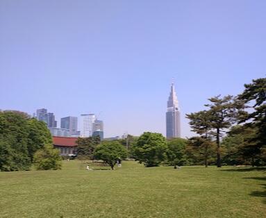 東京都立代々木公園