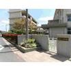 中学校