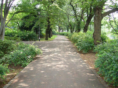 善福寺川緑地