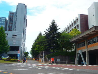 国立東北大学青葉山キャンパス