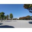 公園