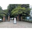 大学