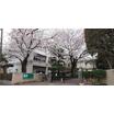 中学校