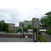 大学