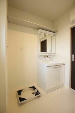 洗髪洗面化粧台付きです。収納棚もついています。