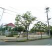 幼稚園、保育園