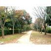 公園