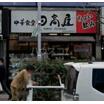 飲食店