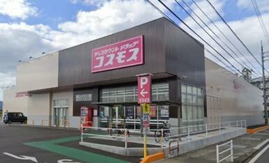 ディスカウントコスモス太田上町店