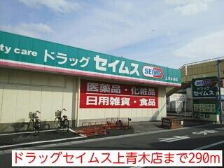 ドラッグセイムス上青木店