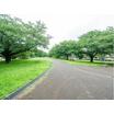 公園