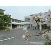中学校