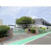小学校