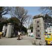 公園