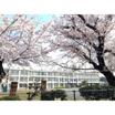 小学校