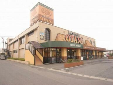 オータニ氏家店　1572ｍ/徒歩20分、車4分