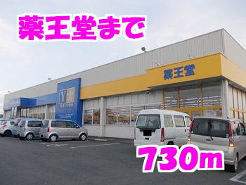 薬王堂