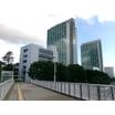 大学