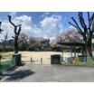 公園